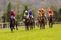 Race 5 - Open Maiden (19 of 38).jpg
