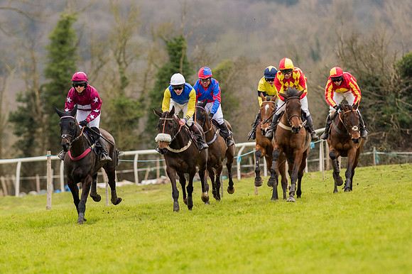 Race 5 - Open Maiden (19 of 38).jpg