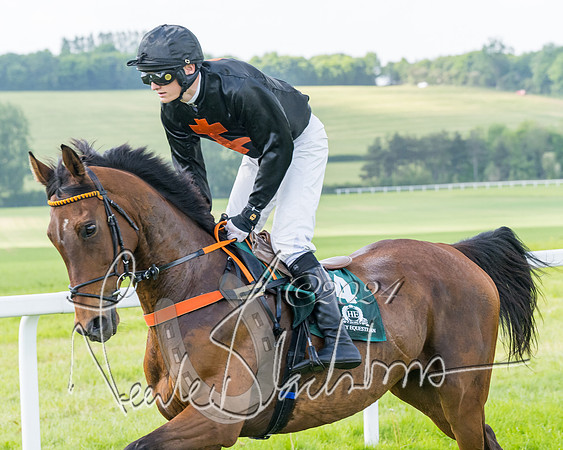 Race 4 - PPORA Novice Riders Final  (119 of 362)