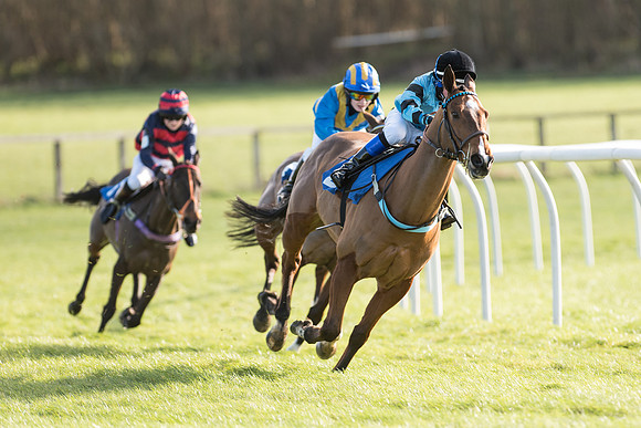 Pony Race 2 (4 of 22).jpg