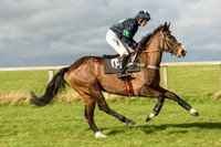 Race 2 - Young Horse Maiden (20 of 110).jpg