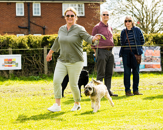 Dog show etc (78 of 157)