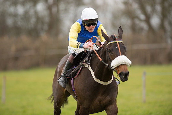 Race 5 - Open Maiden (38 of 38).jpg