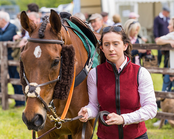 Race 2 - Owner-Trainer Conditions  (26 of 208)