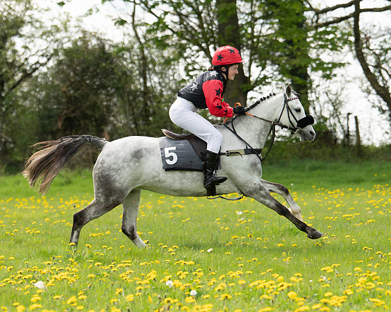 Ponies and Side saddle (27 of 69)