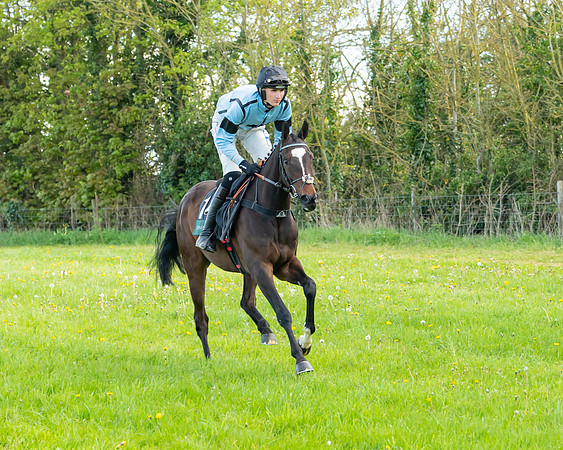 Race 7 - Maiden  (13 of 113)