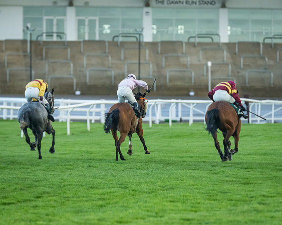 Race 5 - Mares Open  (161 of 329)