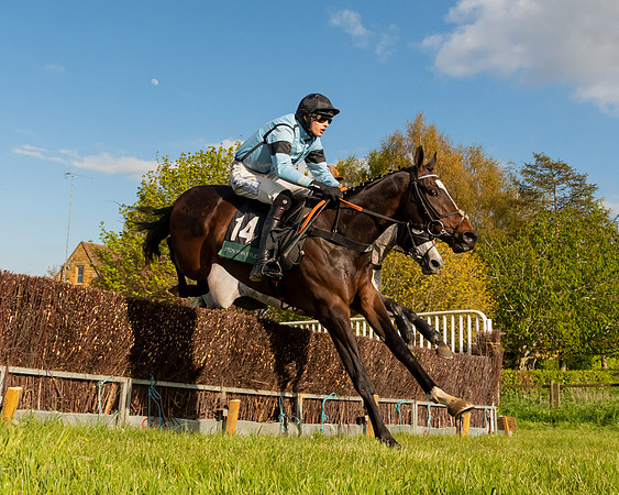 Race 7 - Maiden  (56 of 113)