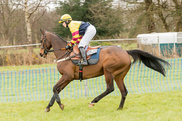 Race 2 - Novice and Veterans   (17 of 101).jpg