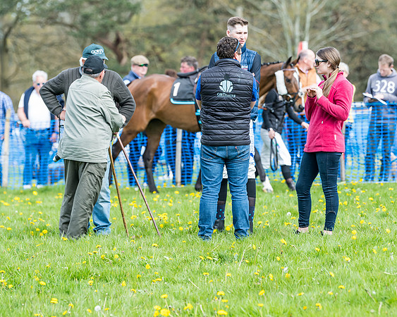 Race 2 - Veteran Horse  (17 of 82)