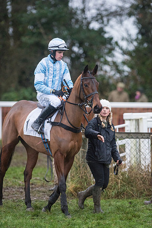 Race 8 - Young Horse Maiden  (25 of 85).jpg