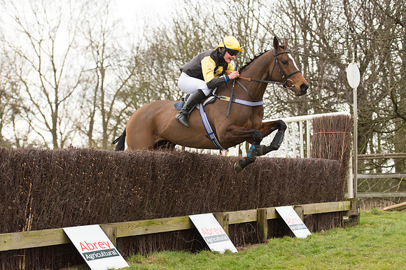 Race 2 - PPORA Novice riders  (168 of 186).jpg