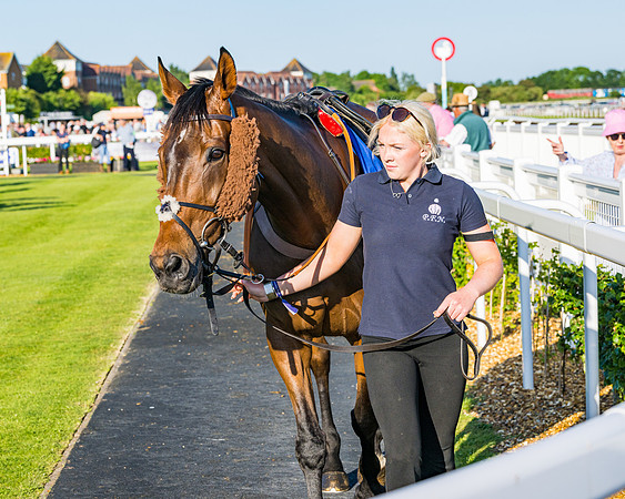 Race 4 - Foxhunters Championship (2 of 175)
