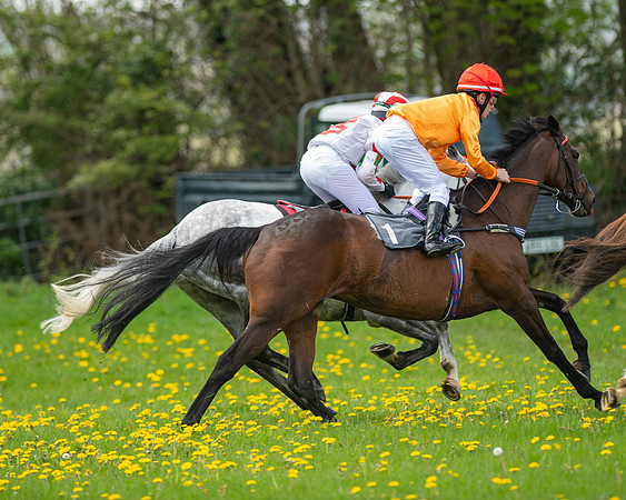 Ponies and Side saddle (48 of 69)