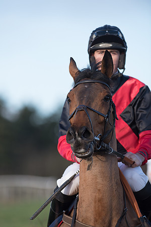 Race 5 - Restricted Race (33 of 107).jpg