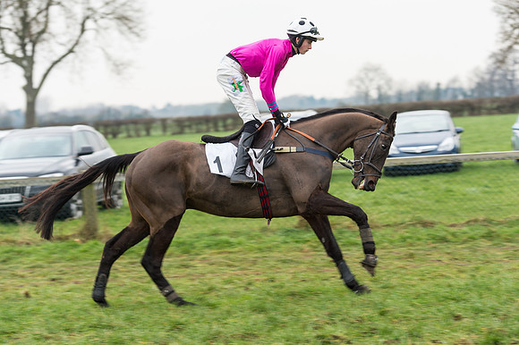 Race 6 - Open Maiden Div 2 (4 of 97).jpg