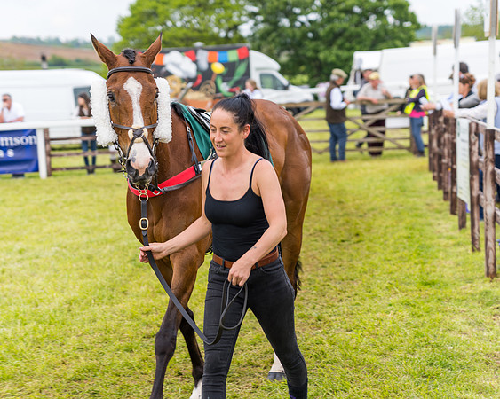 Race 7 - Veteran Horse conditions (37 of 244)