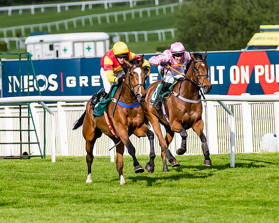 Race 2 - Lycetts Intermediate final  (197 of 310)