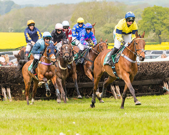 Race 2 - Owner-Trainer Conditions  (81 of 208)