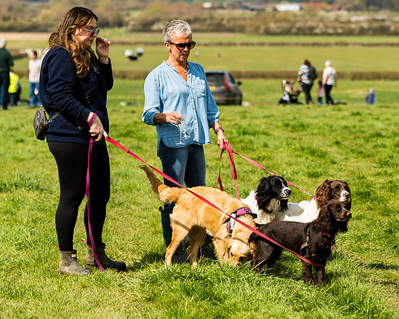 Dog show etc (37 of 157)