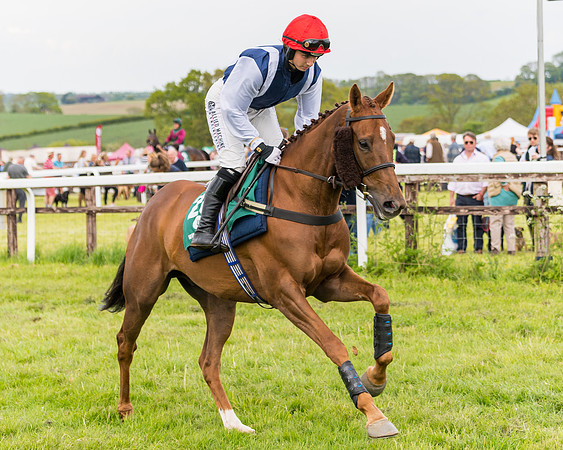 Race 6 = Maiden (28 of 187)