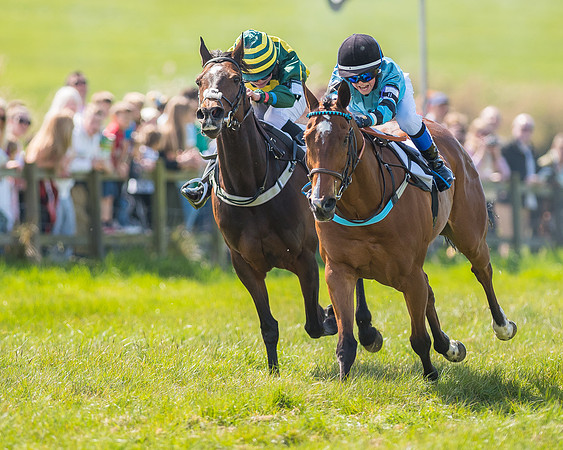 Pony Race 3 (23 of 38).jpg