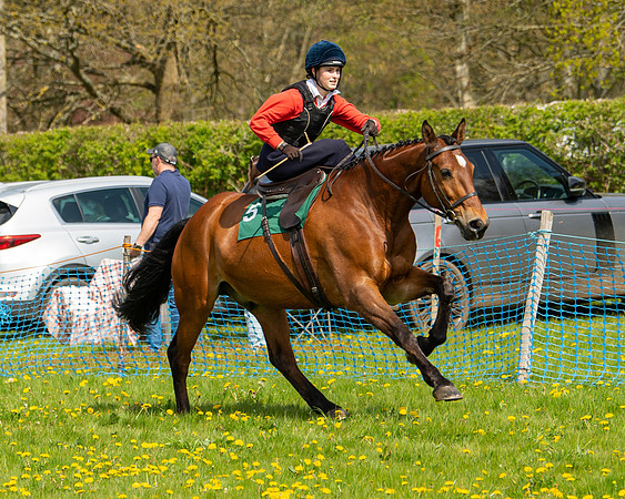 Ponies and Side saddle (59 of 69)