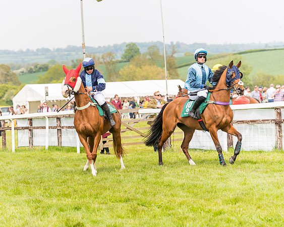 Race 2 - Owner-Trainer Conditions  (28 of 208)