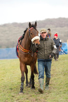 Race 2 - Open Maiden (11 of 161).jpg