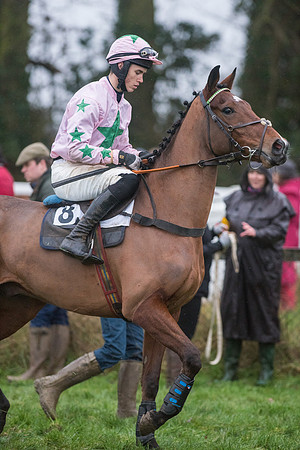 Race 8 - Young Horse Maiden  (20 of 85).jpg