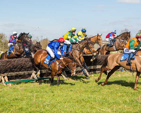 Race 1 - Open Maiden Division 2 (57 of 173)