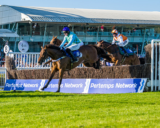 Race 4 - Foxhunters Championship (71 of 175)