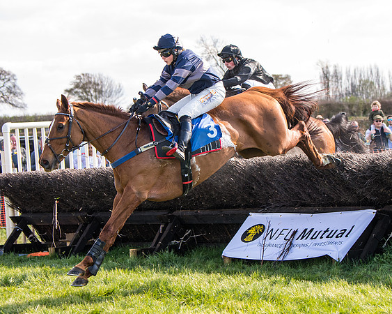 Race 4 - The Warehouse Reit Mixed Open Race  (33 of 124)