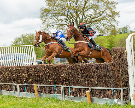 Race 2 - ROR and veteran Horse Conditions race (13 of 77)