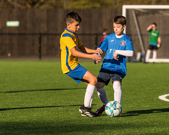 Under 12s --230