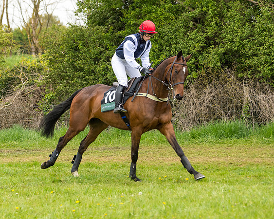 Race 7 - Open Maiden  (7 of 106)