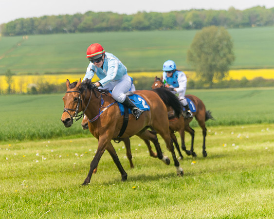 Pony Race 1 - 138cm (43 of 74)