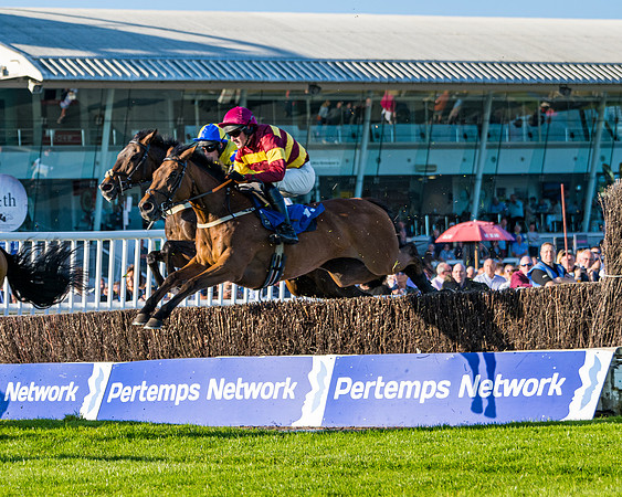 Race 4 - Foxhunters Championship (68 of 175)