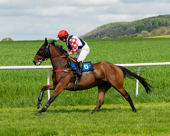 Race 1 - The Condiitions race (38 of 123)
