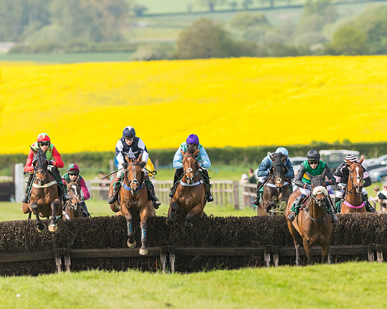 Race 5 - Restricted  (59 of 164)