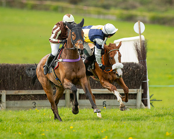 Race 5 - Open Maiden  (46 of 89)