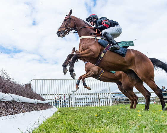 Race 2 - ROR and veteran Horse Conditions race (11 of 77)