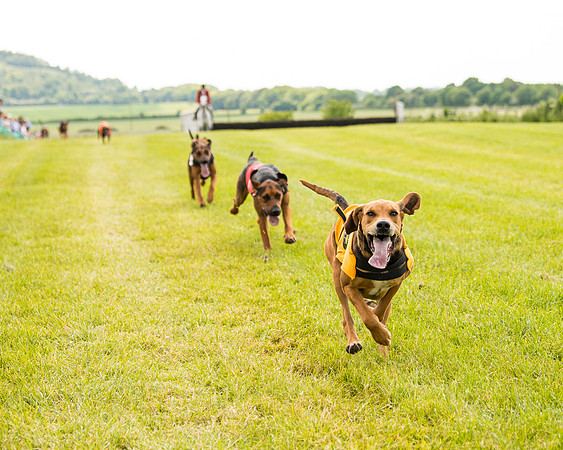 Draghounds Race (97 of 212)