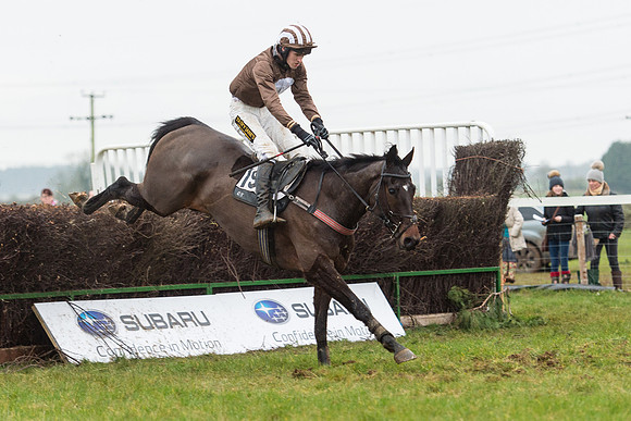 Race 6 - Open Maiden Race Div 1  (79 of 90).jpg