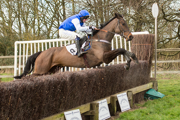 Race 2 - Young Horse Maiden (90 of 110).jpg