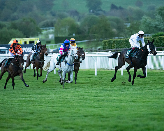 Race 7 - Gloucester Hussars Open  (46 of 154)
