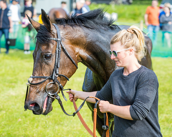 Race 6 - Open Maiden (321 of 346)