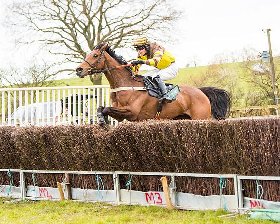 Race 6 - 6 year old and over Maiden 2m4f (35 of 62)