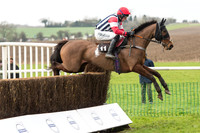 Race 1 - Young Horse Maiden (13 of 50).jpg