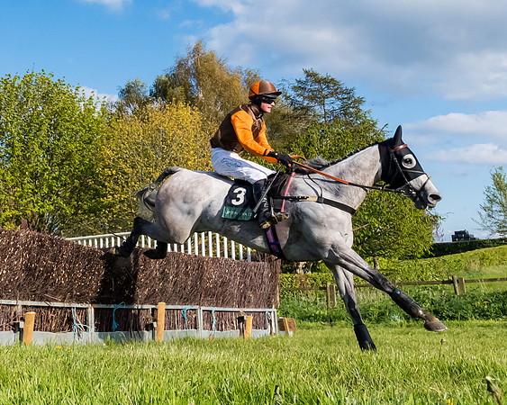 Race 7 - Maiden  (75 of 113)